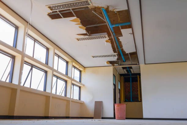 Best Flood damage cleanup  in Country Walk, FL