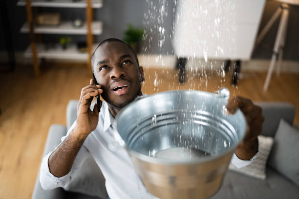 Best Emergency water extraction  in Country Walk, FL