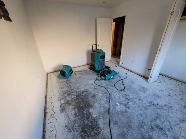 Best Flood restoration services  in Country Walk, FL