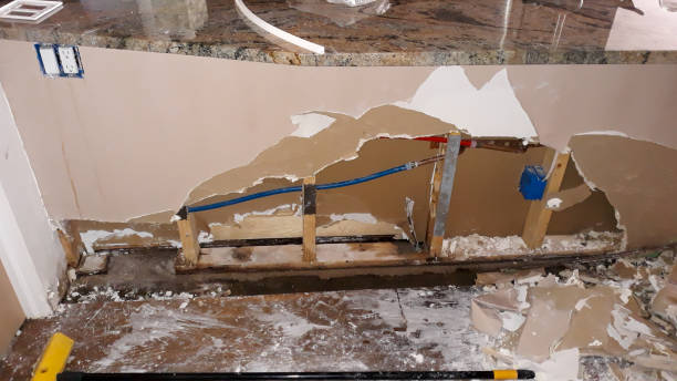 Best Residential water damage restoration  in Country Walk, FL