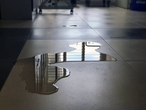 Best Water damage restoration near me  in Country Walk, FL