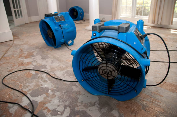 Best Fire Damage Restoration  in Country Walk, FL