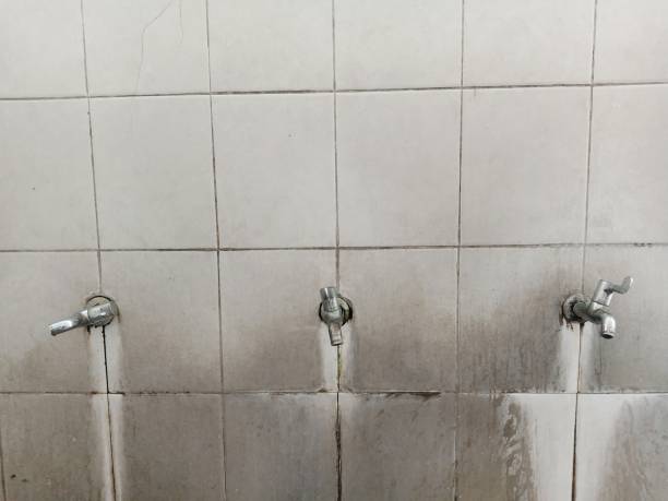 Best 24-hour water damage restoration  in Country Walk, FL