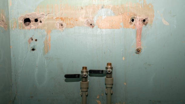Best Sewage cleanup and water damage restoration  in Country Walk, FL
