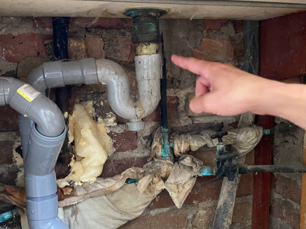 Best Local water damage restoration  in Country Walk, FL