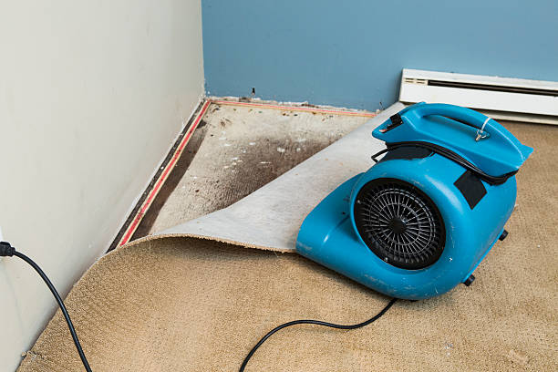 Best Water damage restoration near me  in Country Walk, FL